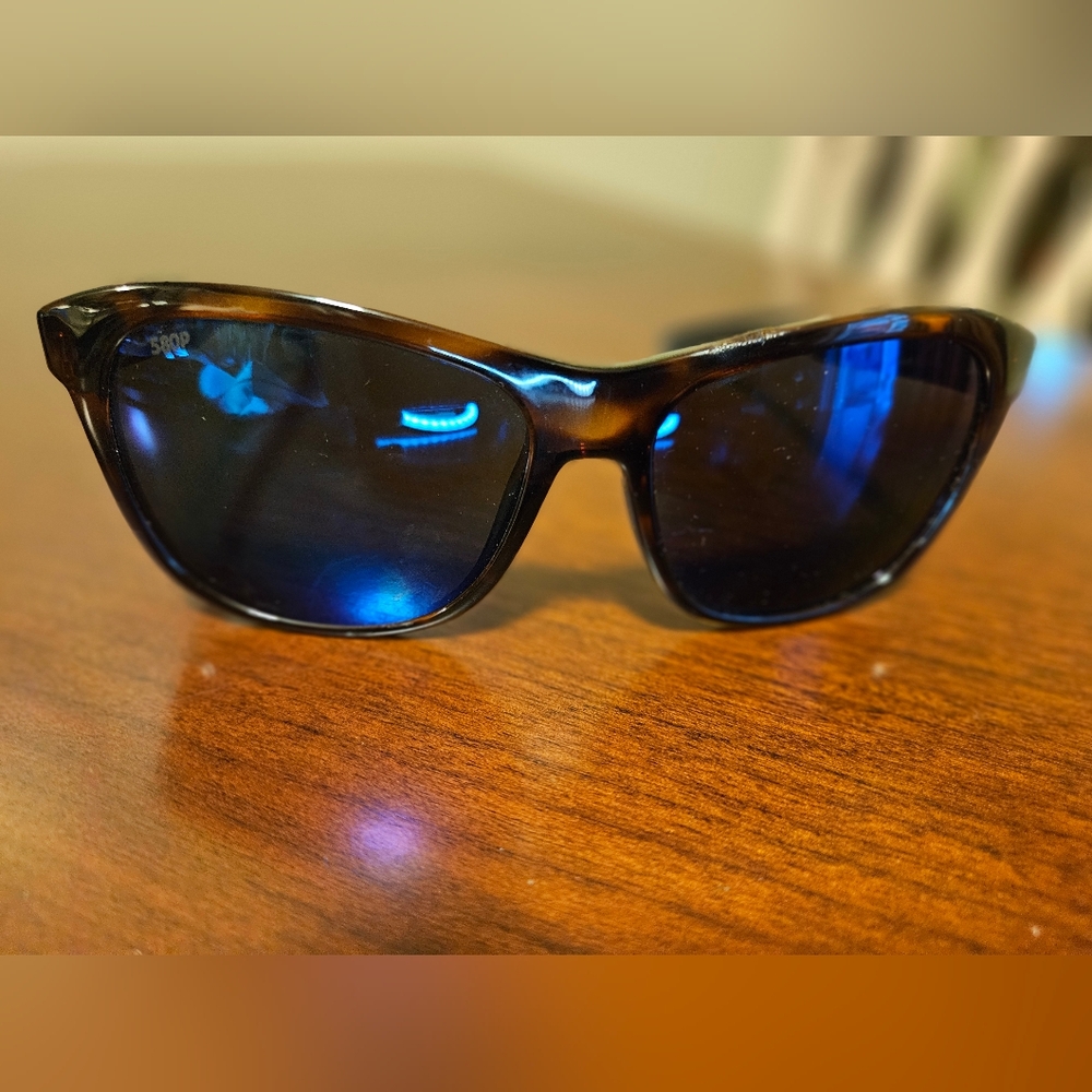 Coasta Stylish Blue and Brown Sunglasses